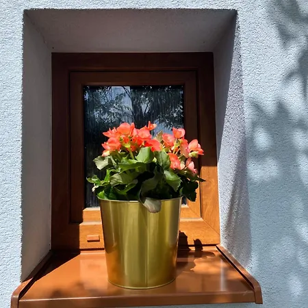 Chalupka Pod Javorinou