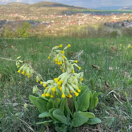 Chalupka Pod Javorinou Casa vacanze *