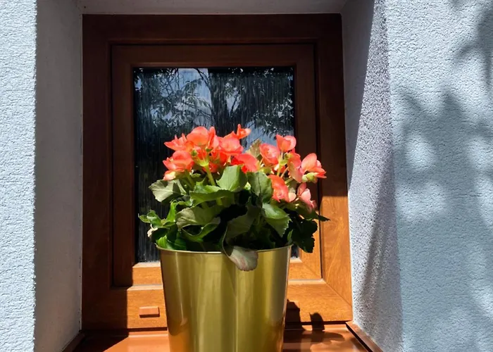 Chalupka Pod Javorinou